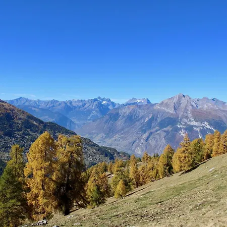 Apartman In With Paid Sauna *